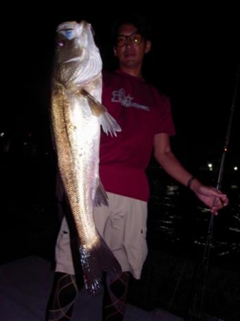 シーマジカル 釣果