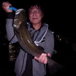 シーマジカル 釣果