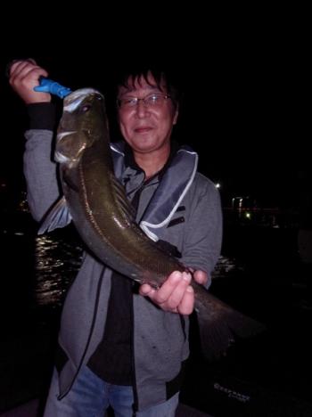 シーマジカル 釣果