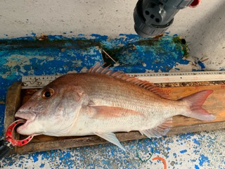 幸吉丸 釣果