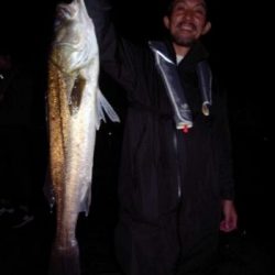 シーマジカル 釣果