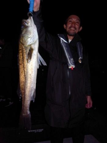 シーマジカル 釣果