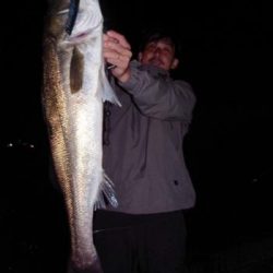 シーマジカル 釣果