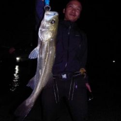 シーマジカル 釣果