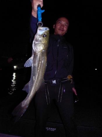 シーマジカル 釣果