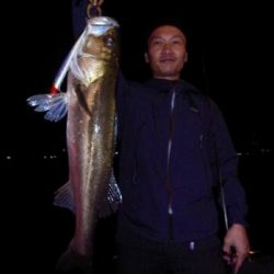 シーマジカル 釣果