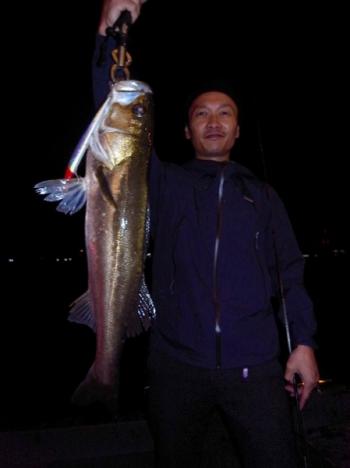 シーマジカル 釣果