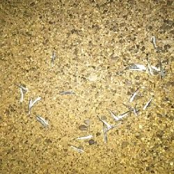 まさかこんな所で