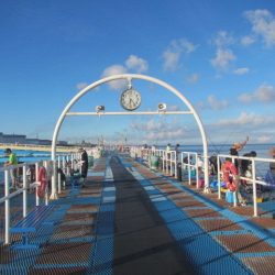 オリジナルメーカー海づり公園(市原市海づり施設) 釣果