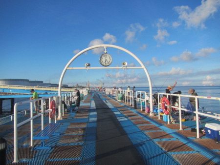 オリジナルメーカー海づり公園(市原市海づり施設) 釣果