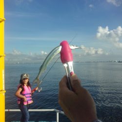 オリジナルメーカー海づり公園(市原市海づり施設) 釣果