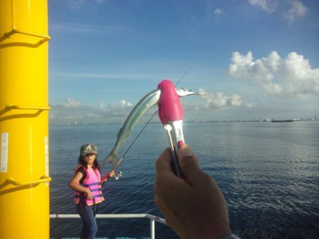 オリジナルメーカー海づり公園(市原市海づり施設) 釣果