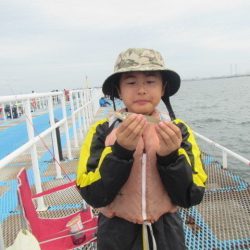 オリジナルメーカー海づり公園(市原市海づり施設) 釣果