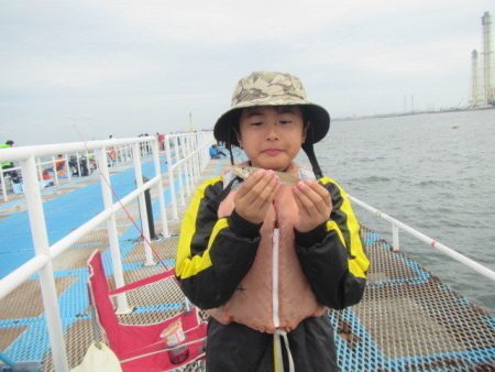 オリジナルメーカー海づり公園(市原市海づり施設) 釣果