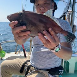 さんさん丸 釣果