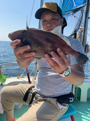 さんさん丸 釣果