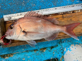 幸吉丸 釣果