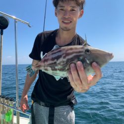 さんさん丸 釣果