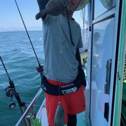 さんさん丸 釣果