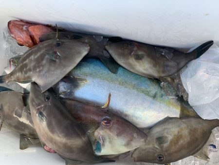 さんさん丸 釣果