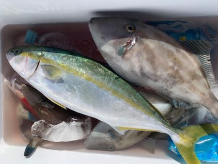 さんさん丸 釣果