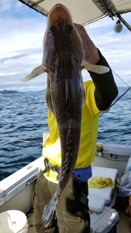 遊漁船 ニライカナイ 釣果