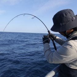 松鶴丸 釣果
