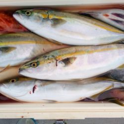 弘福丸 釣果