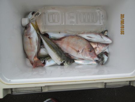 下関フィッシングパーク 釣果