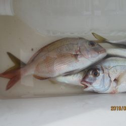 下関フィッシングパーク 釣果