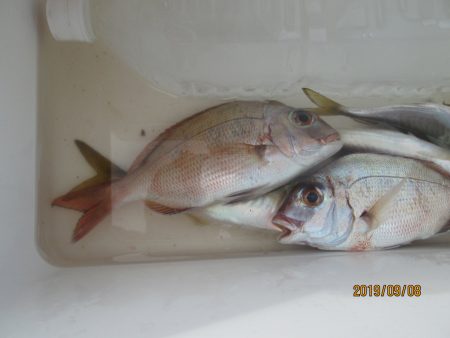 下関フィッシングパーク 釣果