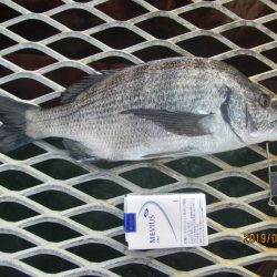 下関フィッシングパーク 釣果