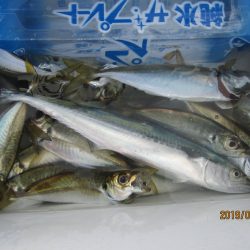 下関フィッシングパーク 釣果