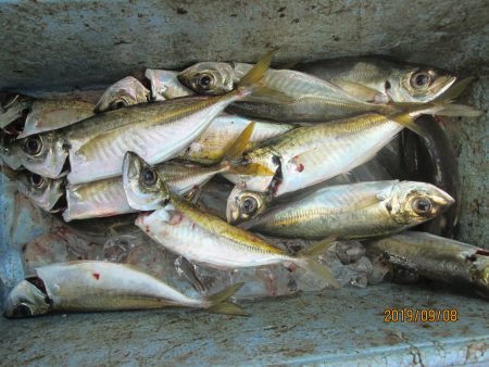 下関フィッシングパーク 釣果