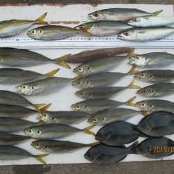 下関フィッシングパーク 釣果