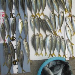 下関フィッシングパーク 釣果