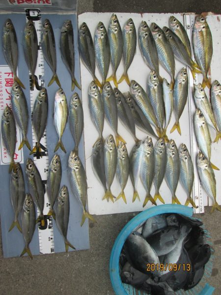 下関フィッシングパーク 釣果