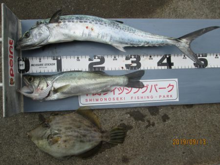 下関フィッシングパーク 釣果