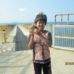 下関フィッシングパーク 釣果