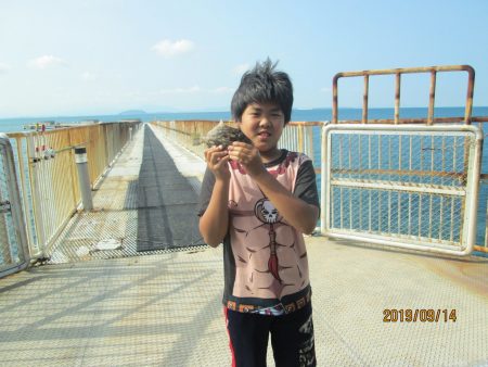 下関フィッシングパーク 釣果