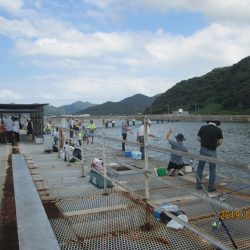 下関フィッシングパーク 釣果