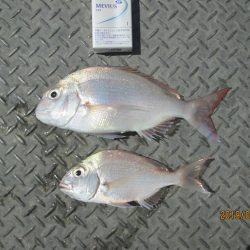 下関フィッシングパーク 釣果