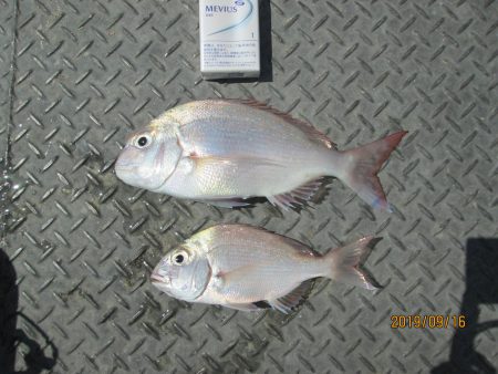 下関フィッシングパーク 釣果