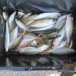 下関フィッシングパーク 釣果