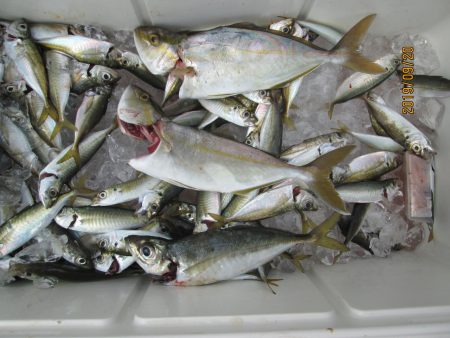 下関フィッシングパーク 釣果