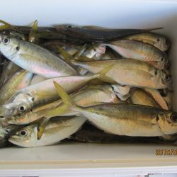 下関フィッシングパーク 釣果