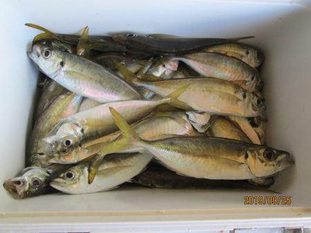 下関フィッシングパーク 釣果