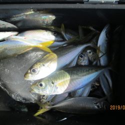 下関フィッシングパーク 釣果