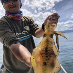 Magic(マジック) 釣果