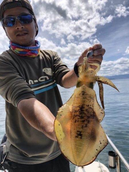 Magic(マジック) 釣果